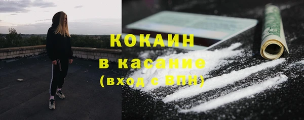 ECSTASY Богородск