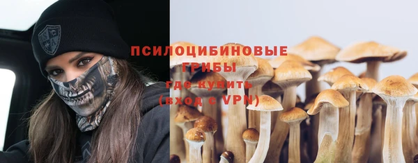 хмурый Богданович