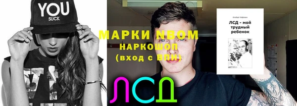ПСИЛОЦИБИНОВЫЕ ГРИБЫ Беломорск