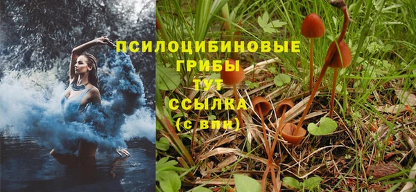 тгк Балабаново